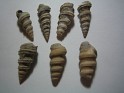 Unknown  Spain. Uploaded by Granotius